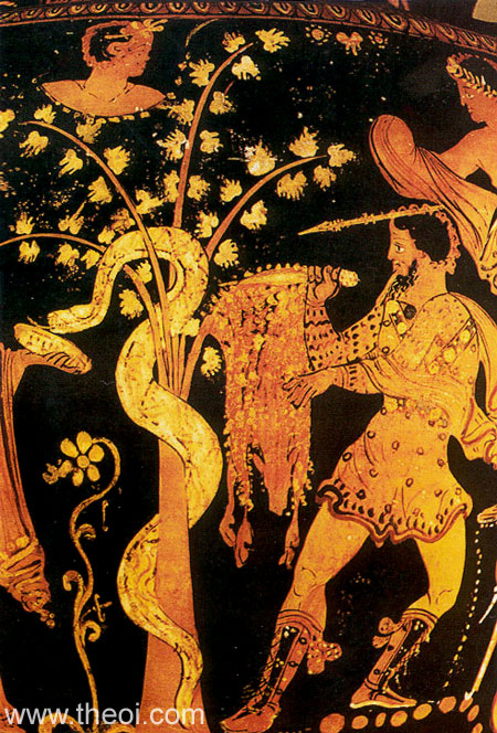 Jason, the Dragon, & the Golden Fleece | Greek vase, Apulian red figure