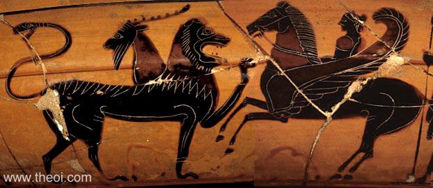 Bellerophon riding Pegasus & the Chimera | Greek vase, Athenian black figure kylix