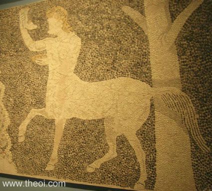 Centaurid | Greco-Roman mosaic