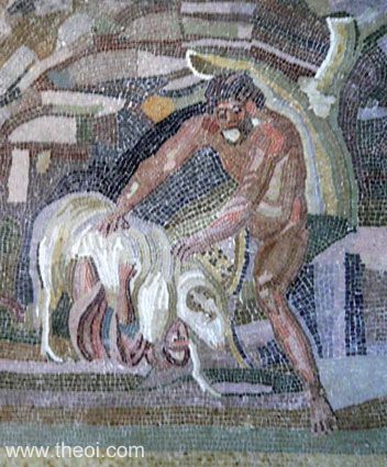 Cyclops Polyphemus & Odysseus | Greco-Roman mosaic