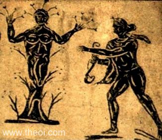 Daphne & Apollo | Greco-Roman mosaic