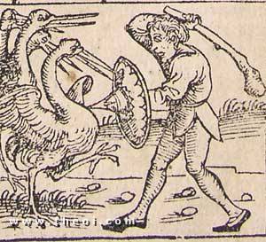 Pygmy from the Nurenburg Chronicle 1493