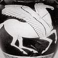 Pegasus | Greek vase painting