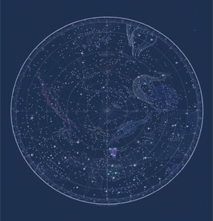 Zodiac Signs Constellations