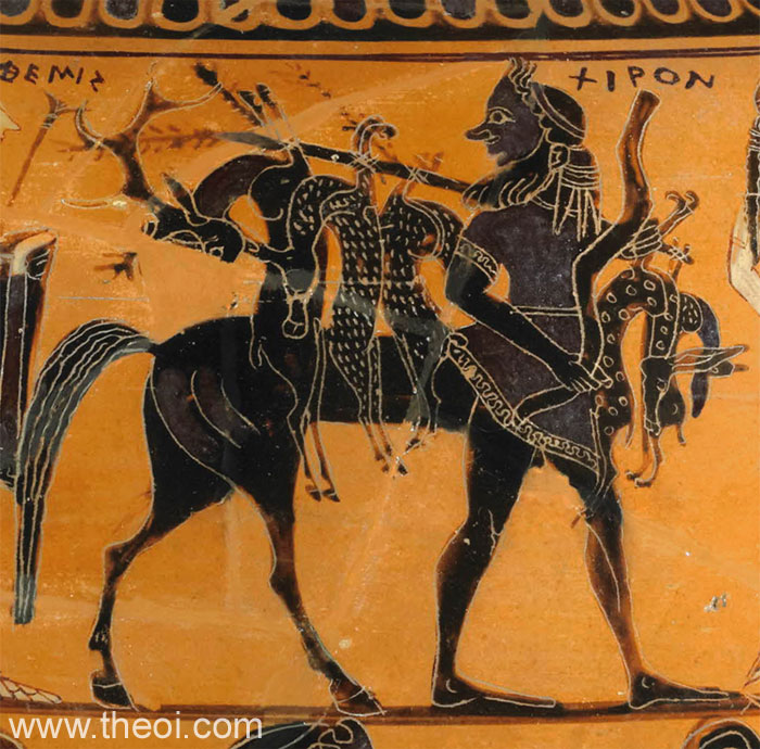 Centaur Chiron | Attic black figure vase painting