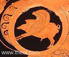 Winged boar on the shield of Geryon | Athenian red-figure kylix C6th B.C. | Staatliche Antikensammlungen, Munich