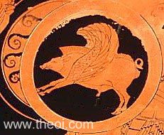 Winged boar | Athenian red figure kylix C6th B.C. | Staatliche Antikensammlungen, Munich