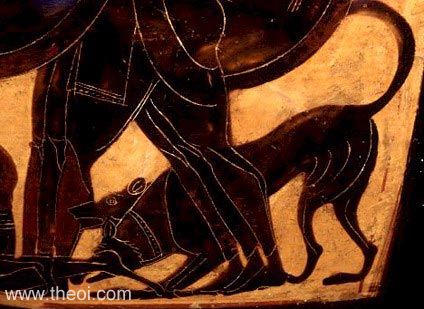 Orthrus the two-headed dog | Athenian black-figure amphora C6th B.C. | Harvard Art Museums, Cambridge