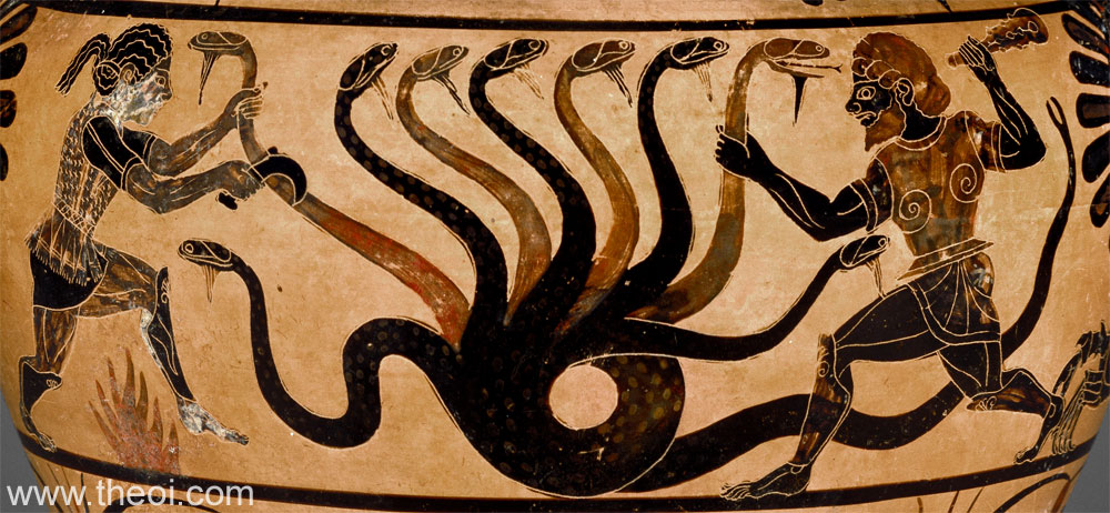 Hydra & Heracles | Caeretan black figure vase painting