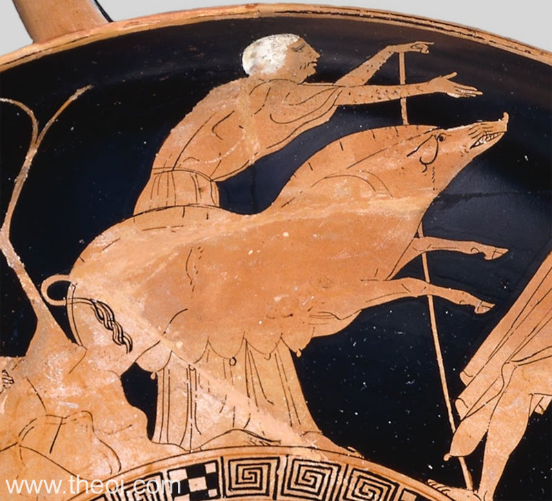 Phaea and the Crommyonian Sow | Athenian red-figure kylix C5th B.C. | British Museum, London