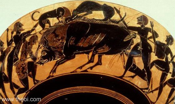 The Calydonian Boar Hunt | Athenian black-figure kylix C6th B.C. | The J. Paul Getty Museum, Malibu