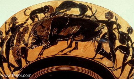 Calydonian Boar Hunt | Attic black figure vase painting