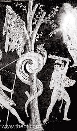 Jason & the Dragon | Greek red figure vase painting