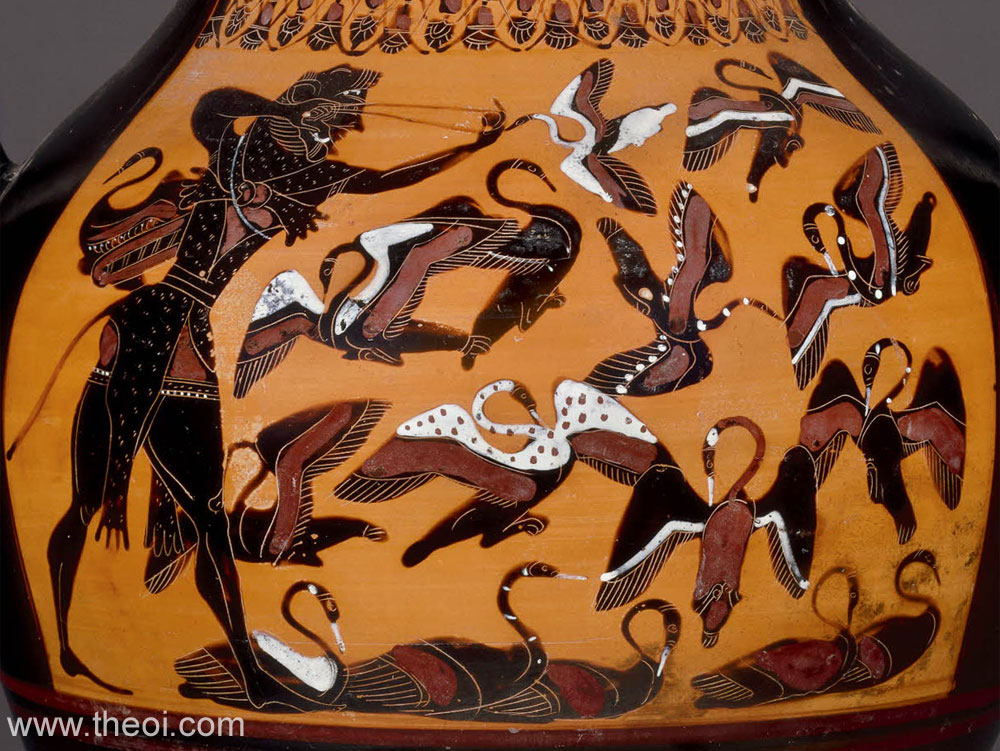 Heracles & Stymphalian Birds | Attic black figure vase painting