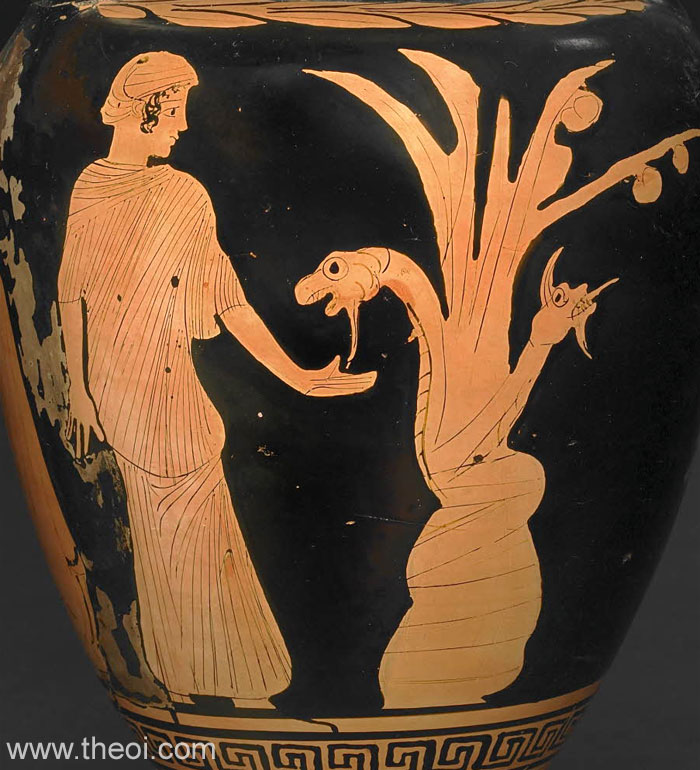 Hesperid & Hesperian Dragon | Campanian red figure vase painting