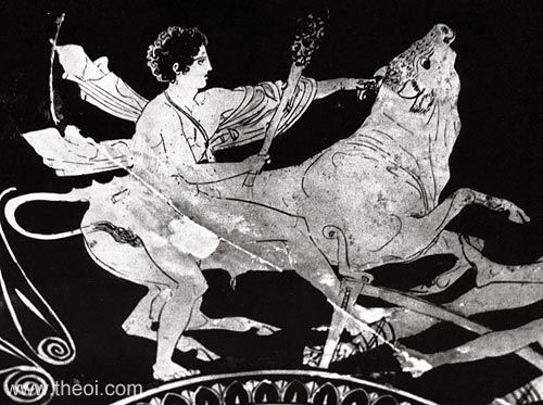 Theseus and the Marathonian Bull | Athenian red-figure kylix C5th B.C. | National Archaeological Museum of Spain