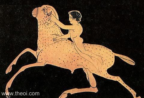 Phrixus and the Golden-Fleeced Ram | Athenian red-figure pelike C5th B.C. | National Archaeological Museum of Athens