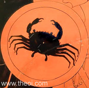 Crab | Athenian red-figure amphora C6th B.C. | British Museum, London