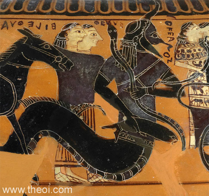 Centaur Chiron | Attic black figure vase painting
