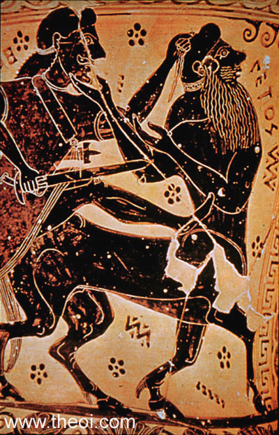 Heracles & Centaur Nessus | Attic black figure vase painting