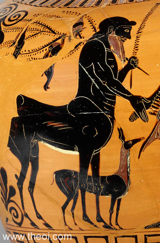 Centaur Pholus | Attic black figure vase painting
