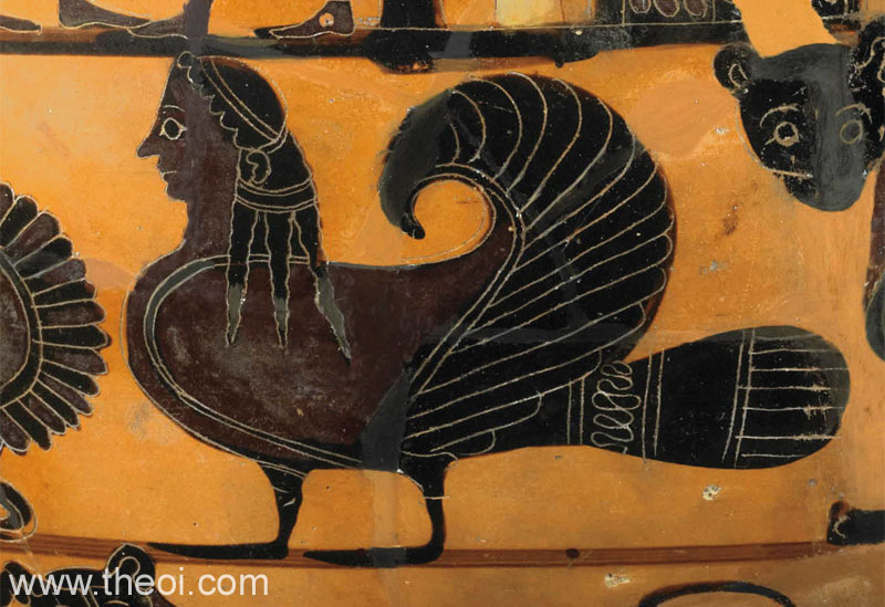 Siren | Attic black figure vase painting