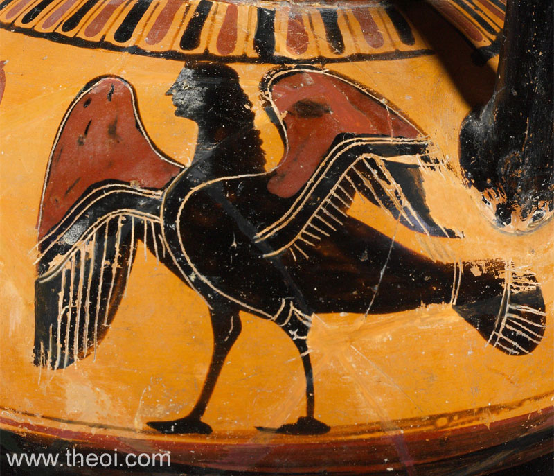 Siren | Attic black figure vase painting