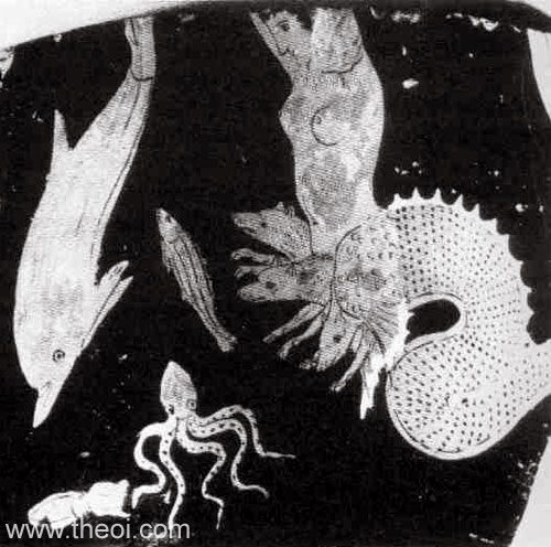Scylla | Apulian red-figure vase fragment C4th B.C.