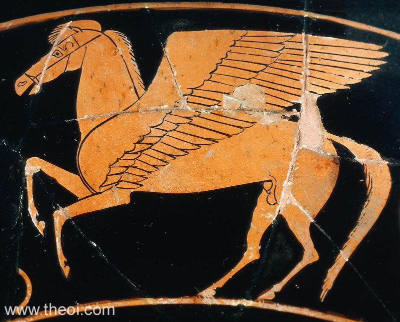 Pegasus | Athenian red-figure kylix C6th B.C. | Museum of Fine Arts Boston