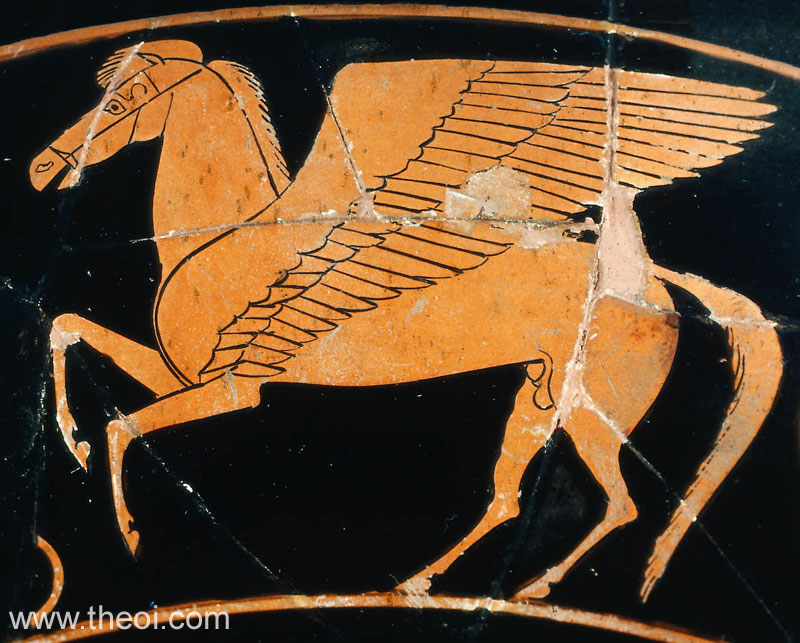 Pegasus | Attic red figure vase painting