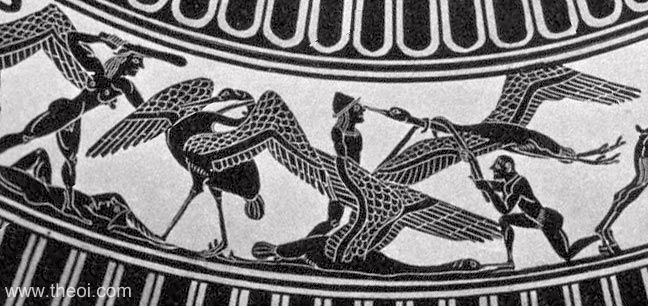Pygmies Battling Cranes | Attic black figure vase painting