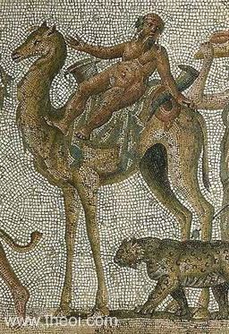 Silenus Riding Camel | Greco-Roman mosaic