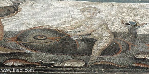 Palaemon riding dolphin | Greco-Roman mosaic C5th A.D. | Hatay Archeology Museum, Antakya