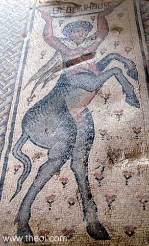 Centaur | Greco-Roman mosaic