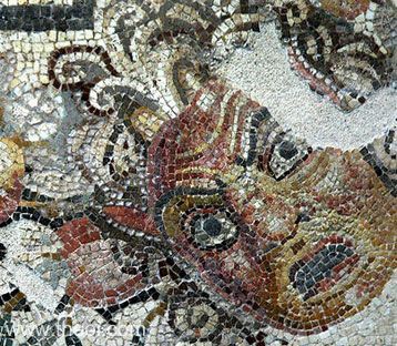 Gorgoneion | Greco-Roman mosaic