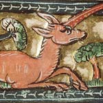 Monoceratus or Unicorn