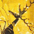 Stag