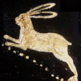 Hare of Hermes
