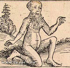 Androgyne from the Nuremburg Chronicle (1493)