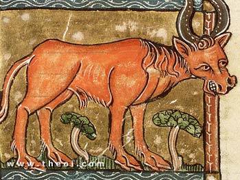 Ethiopian bull | Der Naturen Bloeme manuscript (1350) | National Library of the Netherlands