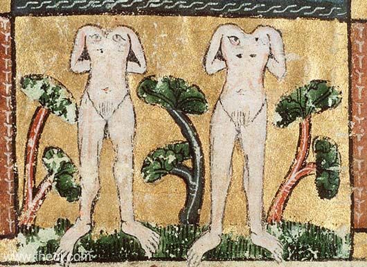 Blemmyae in the medieval illuminated manuscript Der Naturen Bloeme